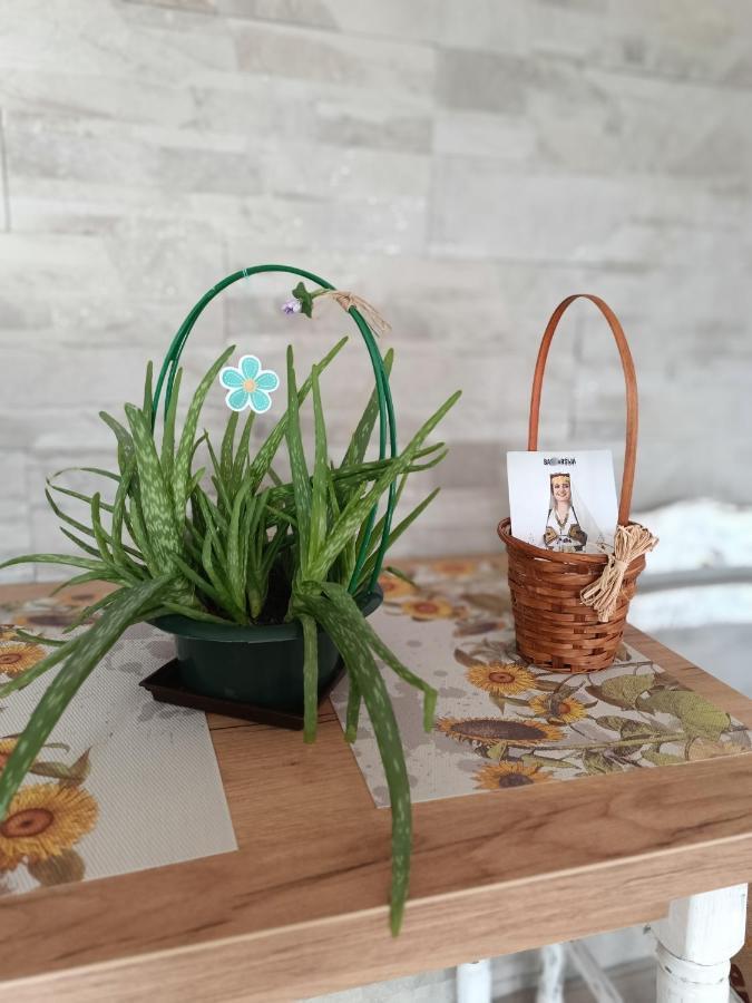 Cozy, Nice & Quiet Apartment Lucky Sarajevo - Free Public Parking エクステリア 写真
