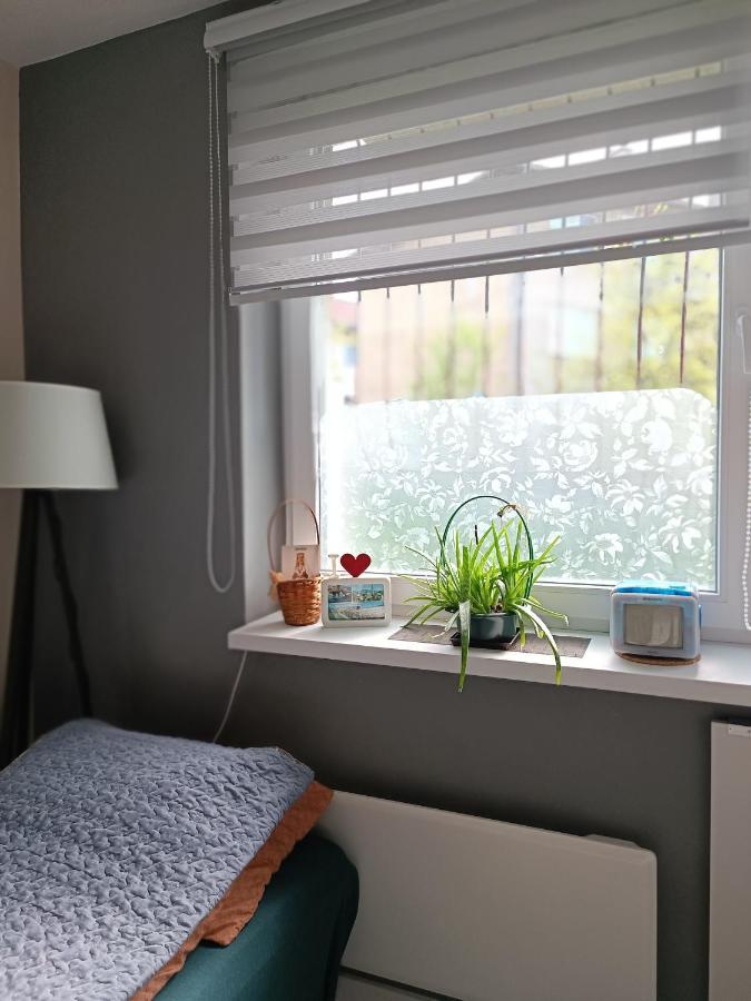 Cozy, Nice & Quiet Apartment Lucky Sarajevo - Free Public Parking エクステリア 写真